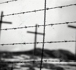 Οι νέες κυκλοφορίες της 13ης Αυγούστου 2021 