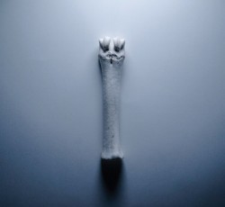 Οι νέες κυκλοφορίες της 17ης Δεκεμβρίου 2021