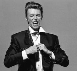 Στη Warner Chapell Music πωλήθηκαν τα δικαιώματα της δισκογραφίας του David Bowie 