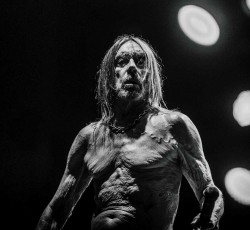 Ακούστε το ολοκαίνουριο single του Iggy Pop 