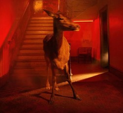 Οι νέες κυκλοφορίες της 22ης Απριλίου 2022