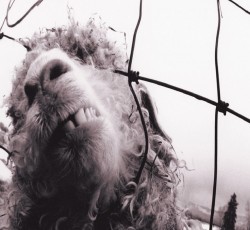 Επετειακή επανέκδοση για τα 30 χρόνια του "Vs." από τους Pearl Jam