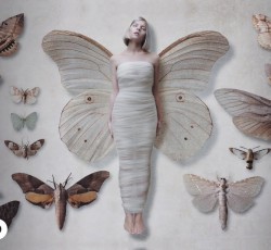 Το τραγούδι της Aurora είναι η ελπίδα του "Adolescence"