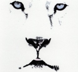 Οι White Lion στο Golden R. Festival 2027 για τα 40 χρόνια του "Pride" 