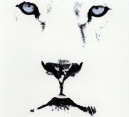 Οι White Lion στο Golden R. Festival 2027 για τα 40 χρόνια του "Pride"