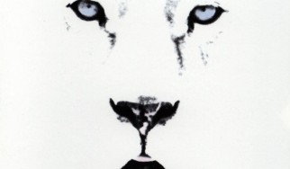 Οι White Lion στο Golden R. Festival 2027 για τα 40 χρόνια του "Pride"