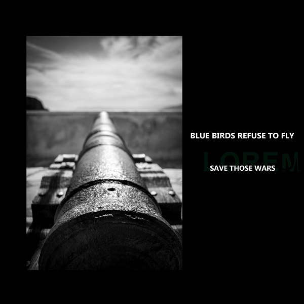 Blue Birds Refuse To Fly - Save Those Wars