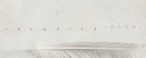 Μέλη των Radiohead και των Midlake στη νέα δουλειά του συγκροτήματος του Simon Raymonde (Cocteau Twins)