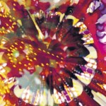 Live δίσκος του Caribou με συμμετοχή του Four Tet (audio)