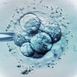 Η μουσική των Metallica και των Nirvana αυξάνει τις πιθανότητες επιτυχίας της εξωσωματικής γονιμοποίησης