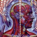 Το "Lateralus" ψηφίστηκε ως το καλύτερο τραγούδι των Tool