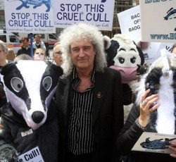 Ο Βrian May υποψήφιος βουλευτής 