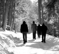 Ακούστε δείγματα από το νέο δίσκο των Agalloch 