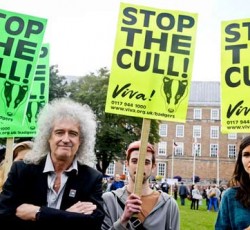 Ακούστε το τραγούδι διαμαρτυρίας του Brian May (Queen) για την προστασία των ασβών των Η.Π.Α. 