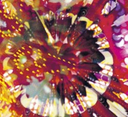 Live δίσκος του Caribou με συμμετοχή του Four Tet (audio) 