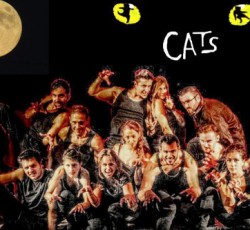 Το μιούζικαλ "Cats" στο Αθηνά Live 