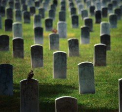 Η Εκκλησία της Αγγλίας δεν επιτρέπει να γραφεί σε επιτύμβια στήλη η φράση «It's Only Rock 'N' Roll» 