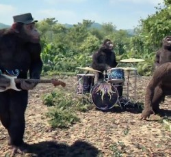 Δείτε τα μέλη των Coldplay να κάνουν τους ...πιθήκους!  