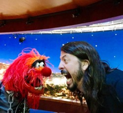 Dave Grohl εναντίον Animal