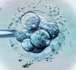 Η μουσική των Metallica και των Nirvana αυξάνει τις πιθανότητες επιτυχίας της εξωσωματικής γονιμοποίησης 