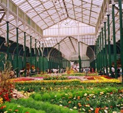 Η μουσική των Black Sabbath βοηθάει στην ανάπτυξη των φυτών, σύμφωνα με γεωπονική έρευνα του BBC 