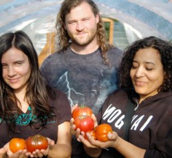 Δείγμα από το επερχόμενο album των Helms Alee 