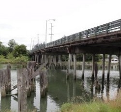 Γέφυρα με το όνομα του Kurt Cobain; 