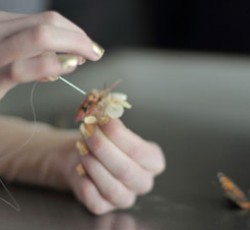 Οι Primal Scream ανακοινώνουν νέο δίσκο και δίνουν στη δημοσιότητα το πρώτο single 