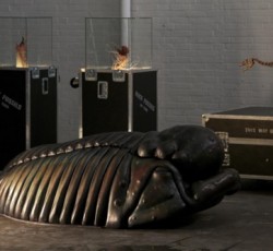 Heavy metal και punk απολιθώματα στα Μουσεία Φυσικής Ιστορίας όλου του κόσμου 