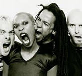 Επανασύνδεση και των Skunk Anansie 