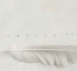 Μέλη των Radiohead και των Midlake στη νέα δουλειά του συγκροτήματος του Simon Raymonde (Cocteau Twins) 