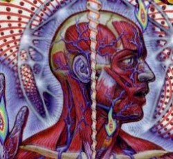 Το "Lateralus" ψηφίστηκε ως το καλύτερο τραγούδι των Tool 