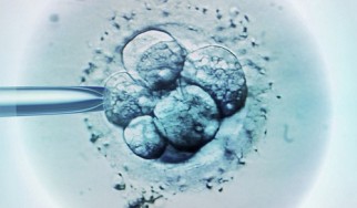 Η μουσική των Metallica και των Nirvana αυξάνει τις πιθανότητες επιτυχίας της εξωσωματικής γονιμοποίησης