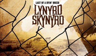 Οι Lynyrd Skynyrd μιλούν στο Rocking.gr για το νέο τους άλμπουμ / Δείτε το εξώφυλλο