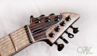 Μπελάδες για την Vik Guitars μετά από ομοφοβικά σχόλια του ιδιοκτήτη της