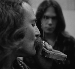 Τσάι, χορτοφαγία ή χόρτο; 