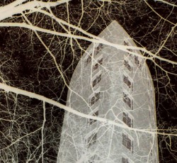 Γι' αυτό αποφασίσαμε να πάρουμε λίγο πιο πολύ στα σοβαρά τη μουσική 