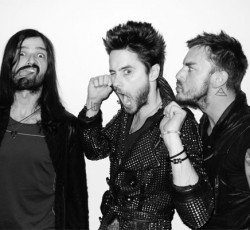 Thirty seconds to facepalm