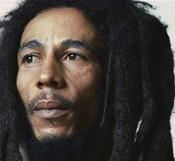 Ρέγκε, ρέγγαι και σαρδέλαι 