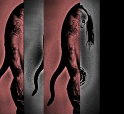 Όταν ο αγαπημένος σου μουσικός είναι πιο στόκος από σένα 