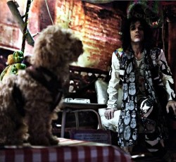 Το σκυλάκι του Αδάμ 