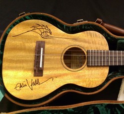 Οι δαίμονες της ακουστικής κιθάρας... 