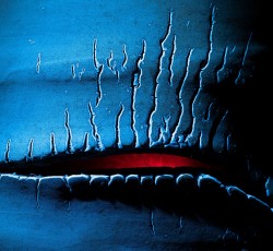 Ιανουάριος 2022 - και πώς ο ακραίος ήχος έκρυβε τις μεγαλύτερες ευαισθησίες 