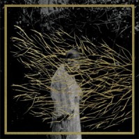 Forest Swords - Engravings