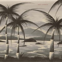 Popi's Orchestra - Popi's Orchestra