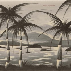 Popi's Orchestra Popi's Orchestra