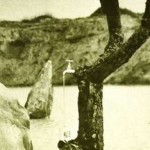 ProgSession #2: Tonton Macoute