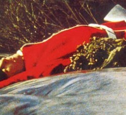 ProgSession #1: Spring 