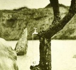 ProgSession #2: Tonton Macoute 