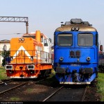 Ο ριζοσπαστικός δρομέας του σουηδικού progg κινήματος